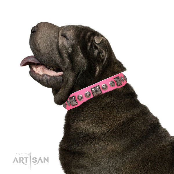 Impressive studded genuine leather dog collar