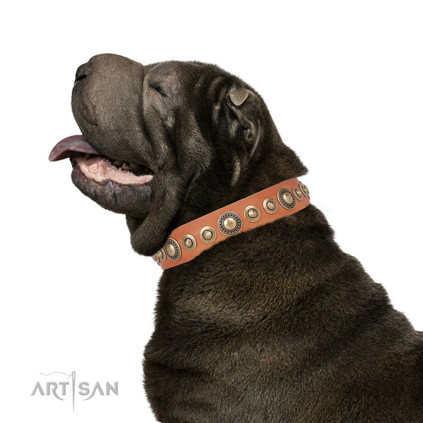 Rust resistant buckle and D-ring on full grain leather dog collar for daily use