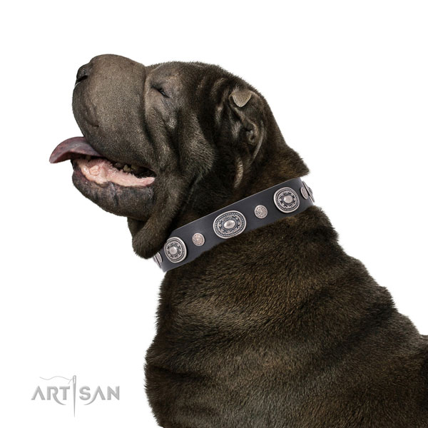 Reliable buckle and D-ring on leather dog collar for everyday walking