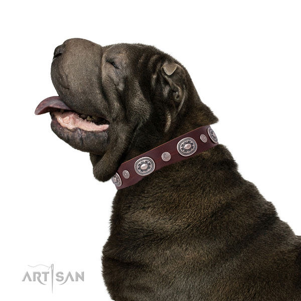 Corrosion proof buckle and D-ring on natural leather dog collar for daily use