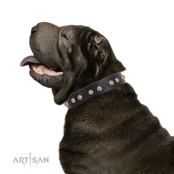 Full grain leather dog collar with strong buckle and D-ring for daily walking