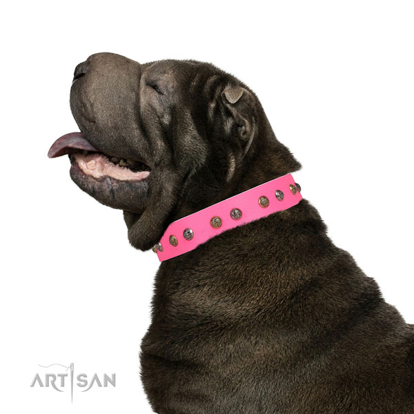 Easy wearing studded dog collar made of quality natural leather