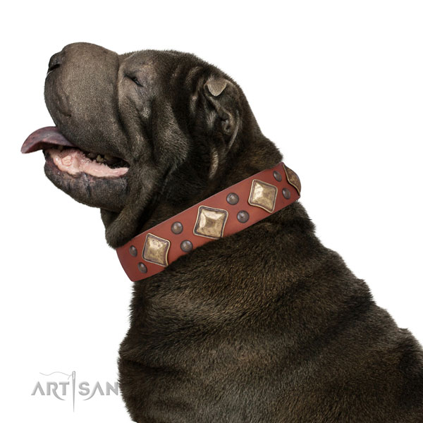 Daily use embellished dog collar made of strong natural leather