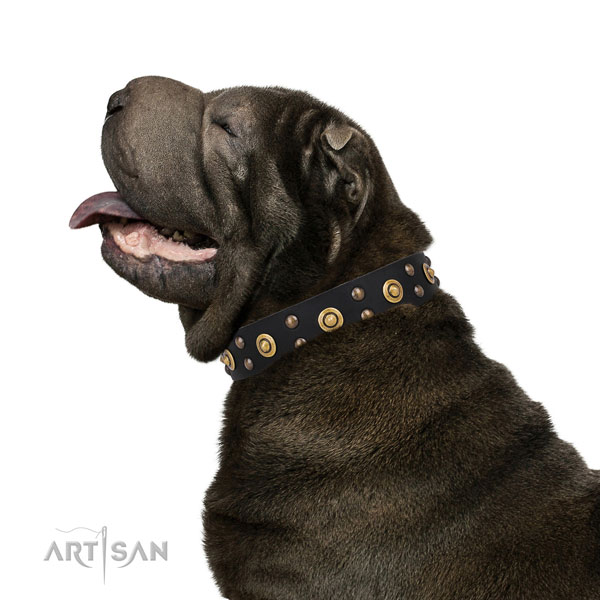 Basic training dog collar with incredible embellishments