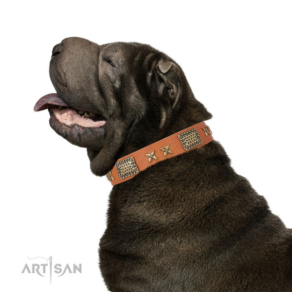 Stylish walking dog collar with incredible adornments