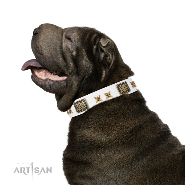 Top notch studs on fancy walking full grain genuine leather dog collar