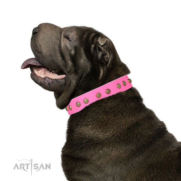 Trendy studs on fancy walking natural genuine leather dog collar