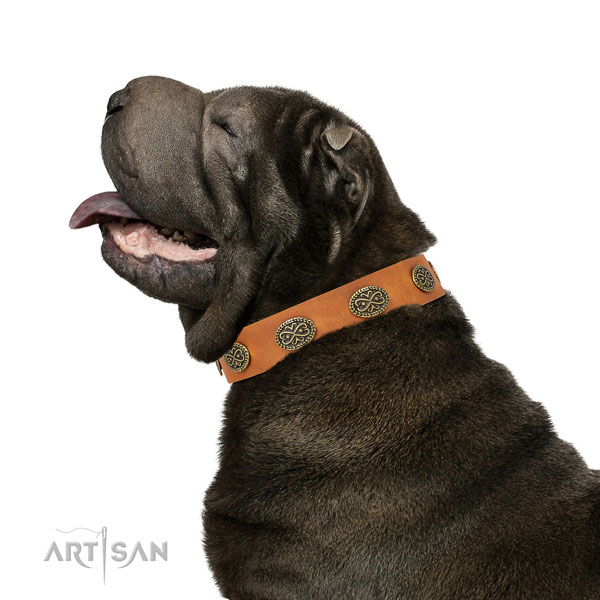 Fashionable studs on daily use full grain leather dog collar