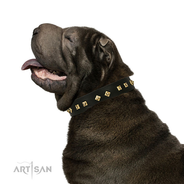 Amazing embellishments on walking genuine leather dog collar