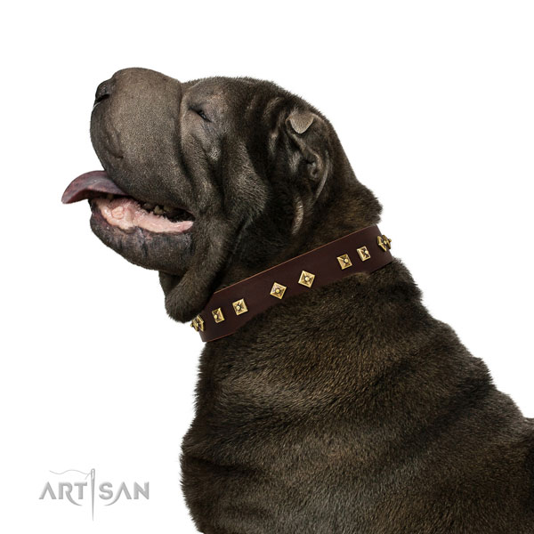 Inimitable adornments on walking genuine leather dog collar