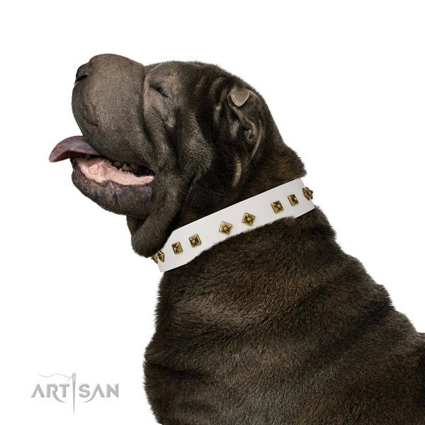 Exquisite studs on walking dog collar