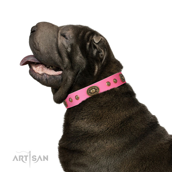 Incredible adornments on fancy walking dog collar