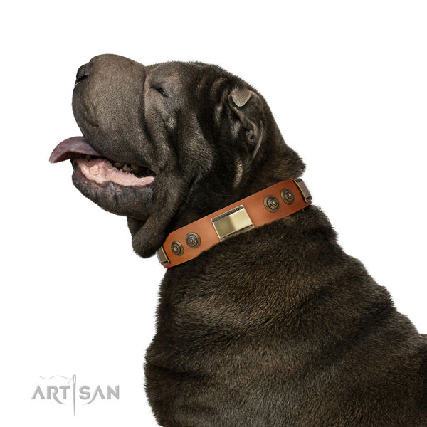Amazing decorations on handy use dog collar