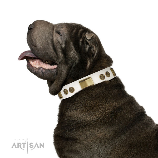 Top rate fancy walking dog collar of leather