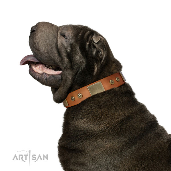 High quality stylish walking dog collar of leather