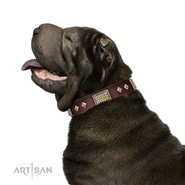 High quality basic training dog collar of natural leather