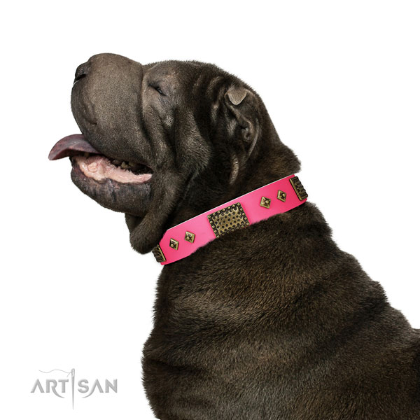 Amazing full grain natural leather collar for your impressive four-legged friend
