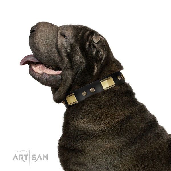 Fancy walking dog collar of leather with stunning decorations