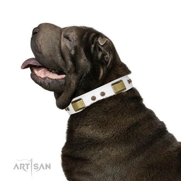 Comfortable wearing dog collar of leather with impressive adornments