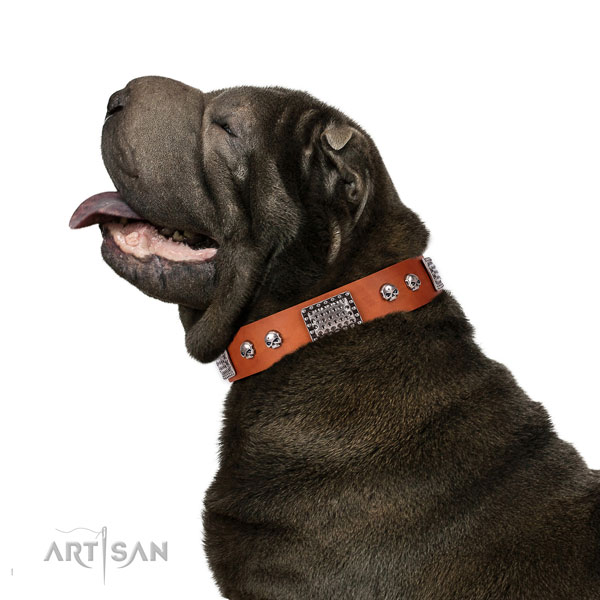 Trendy full grain natural leather collar for your attractive dog