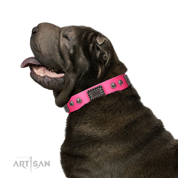 Handcrafted leather collar for your attractive canine