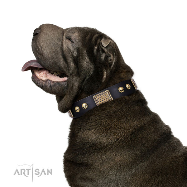 Corrosion proof buckle on full grain genuine leather dog collar for everyday walking