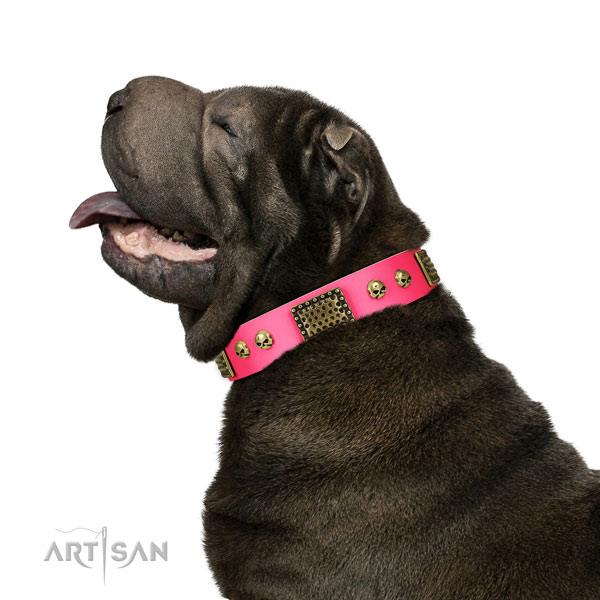 Corrosion resistant D-ring on full grain natural leather dog collar for daily use