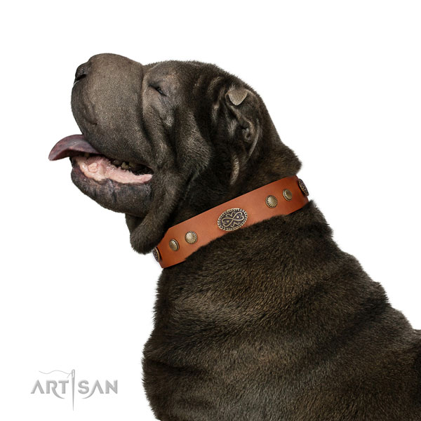 Rust resistant fittings on full grain genuine leather dog collar for everyday use