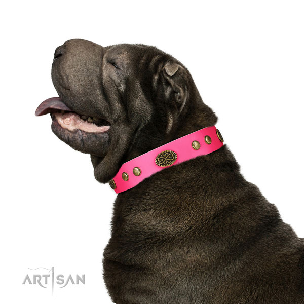 Rust-proof D-ring on full grain genuine leather dog collar for handy use