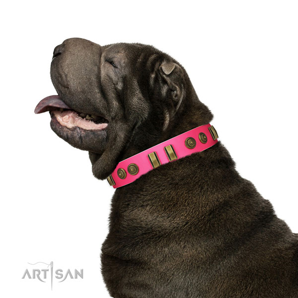 Basic training dog collar of leather with exceptional adornments