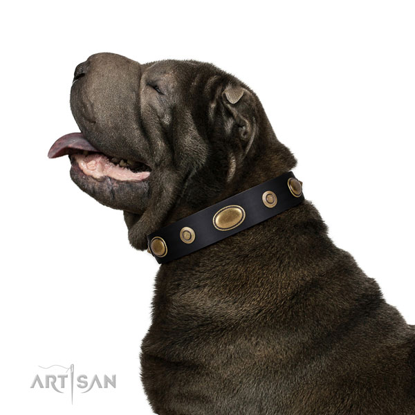 Comfortable wearing dog collar of leather with incredible adornments