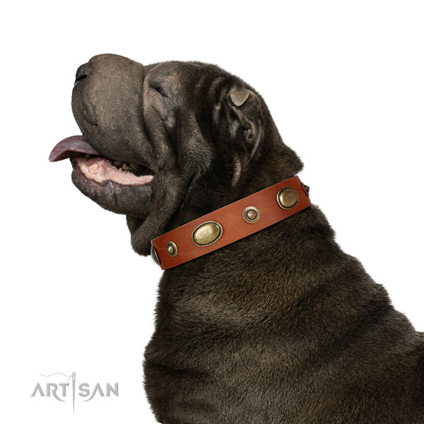 Easy wearing dog collar of natural leather with designer adornments