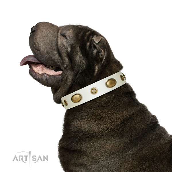 Comfy wearing dog collar of genuine leather with stunning adornments