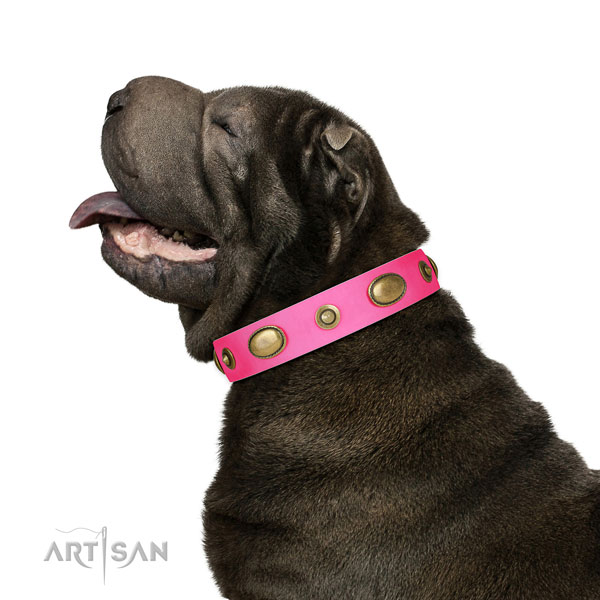 Daily use dog collar of genuine leather with remarkable adornments