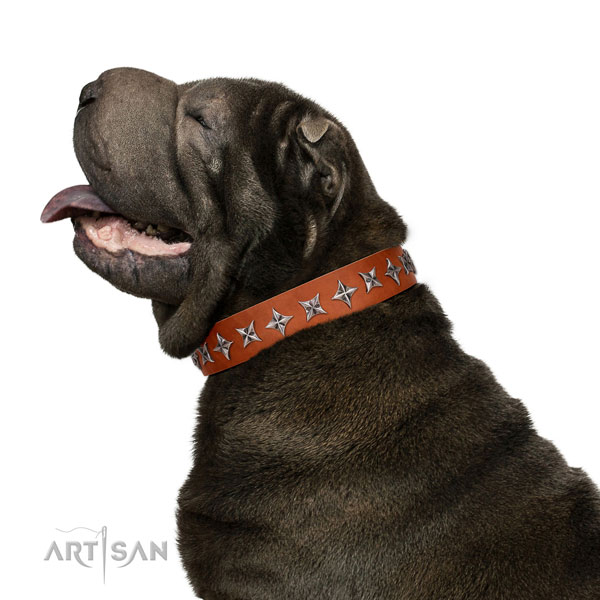 Durable full grain natural leather dog collar with exquisite adornments