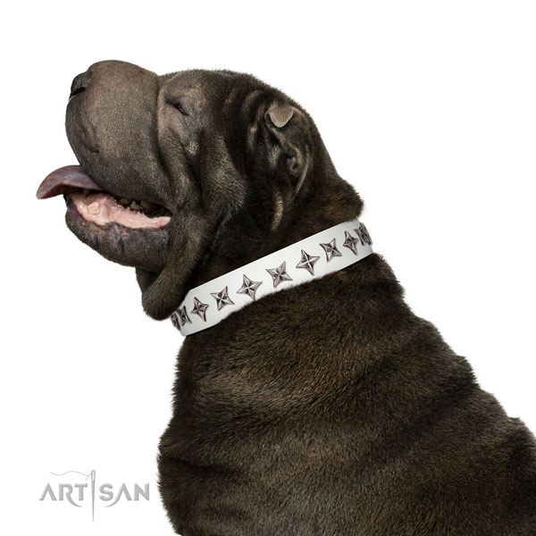 Reliable full grain genuine leather dog collar with inimitable studs