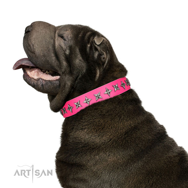 Quality genuine leather dog collar with inimitable embellishments