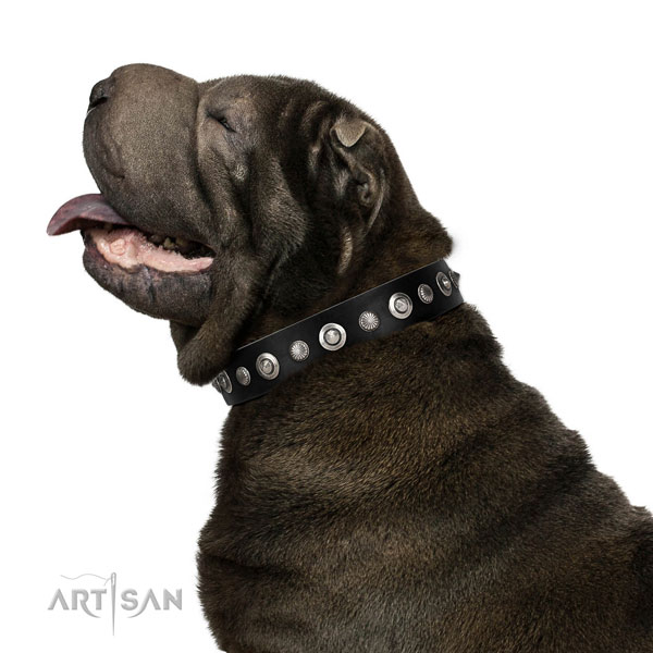 Finest quality full grain genuine leather dog collar with exceptional studs