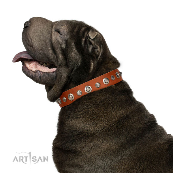 High quality full grain leather dog collar with exceptional embellishments