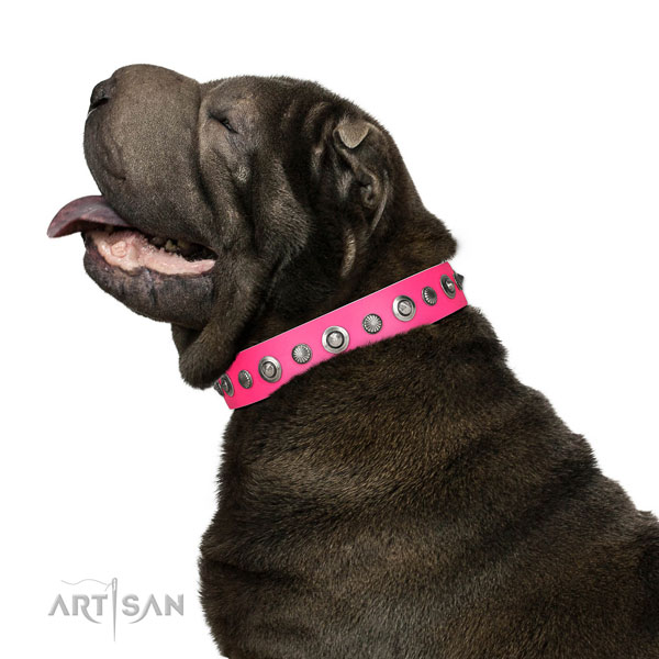 Full grain genuine leather collar with strong hardware for your beautiful dog