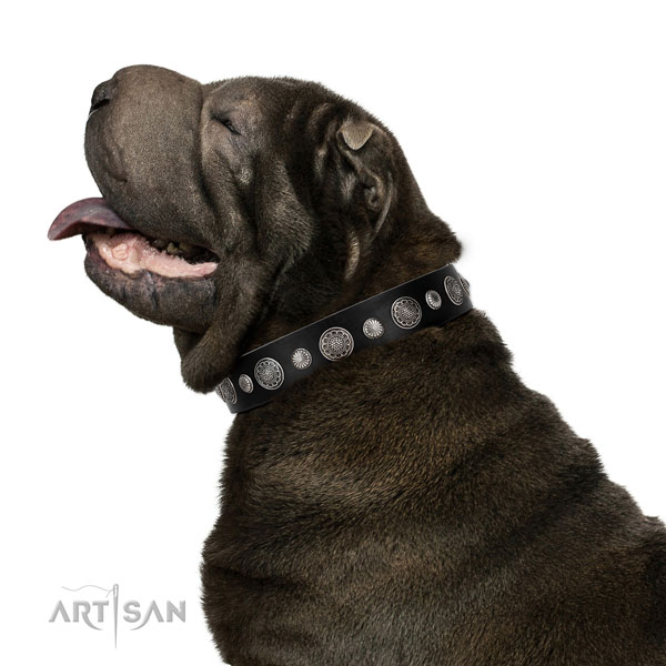 Genuine leather collar with durable hardware for your attractive doggie