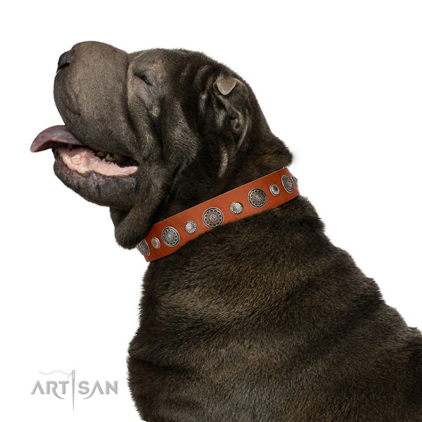 Unusual natural leather dog collar with rust resistant fittings