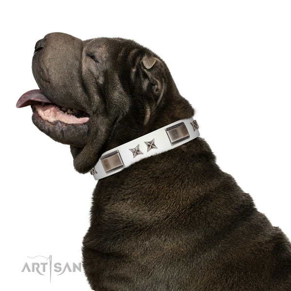 Easy to adjust collar of genuine leather for your beautiful doggie