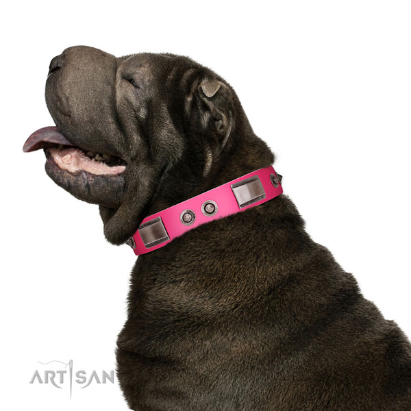 Fine quality full grain natural leather dog collar with adornments