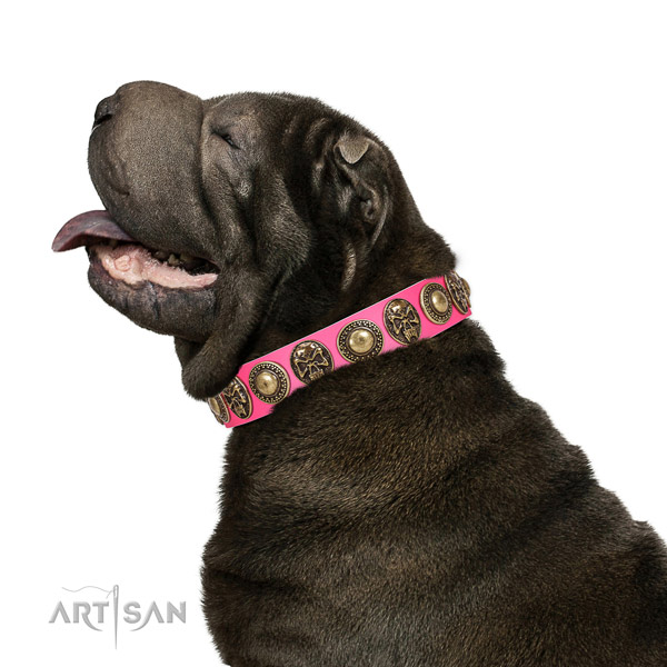 Handcrafted leather collar for your attractive canine