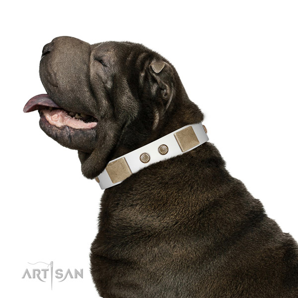 Durable buckle on full grain natural leather dog collar for fancy walking