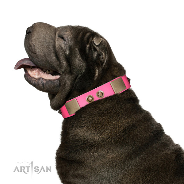 Fancy walking dog collar of leather with impressive decorations