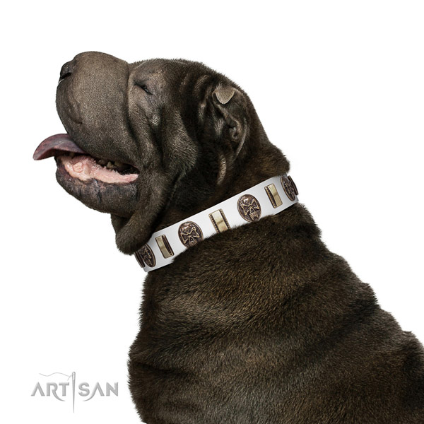 Genuine leather dog collar with impressive embellishments