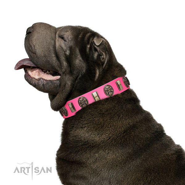 Rust-proof hardware on leather dog collar for walking