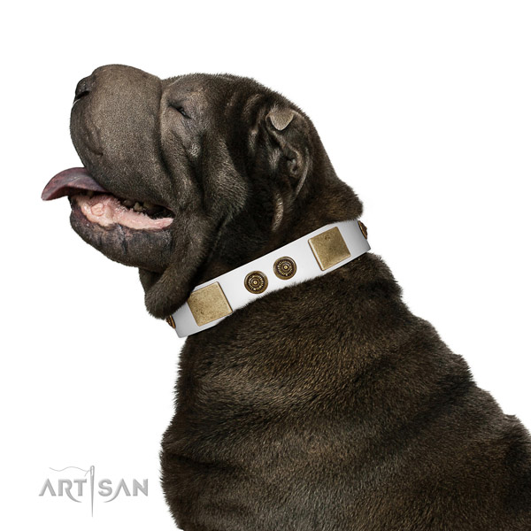 Inimitable dog collar made for your impressive canine
